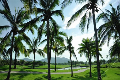 龙华区二手房楼房，海口市龙华区二手房学区房大全！